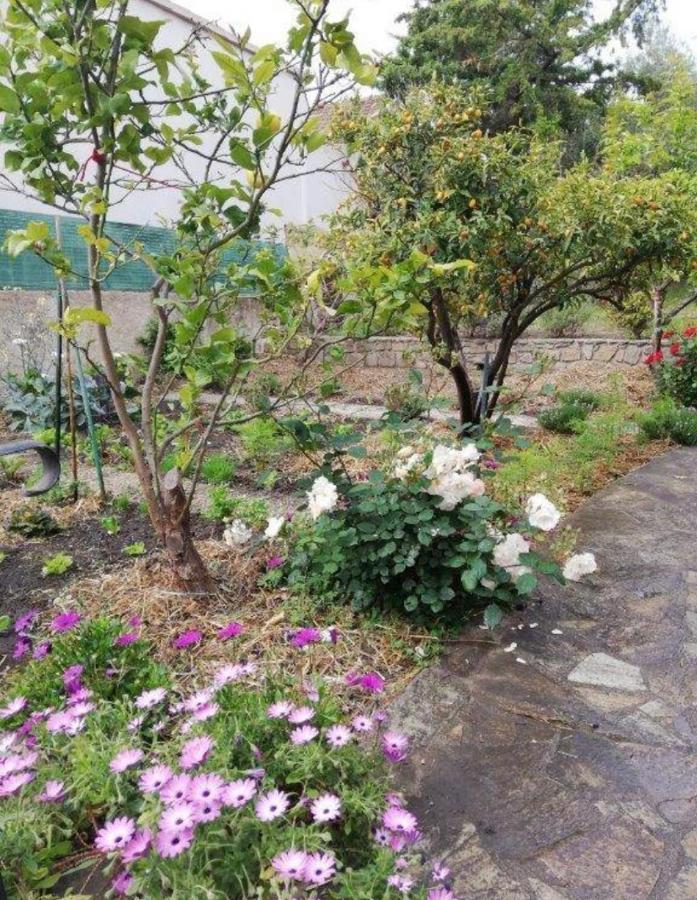 Apartament Casa Rossa Solenzara Sari-Solenzara Zewnętrze zdjęcie